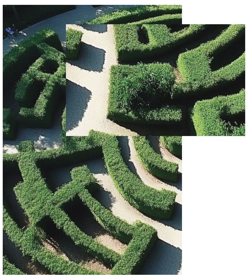 Prosser Fellows overview